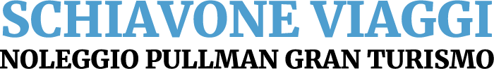 Home 25 schiavone viaggi logo